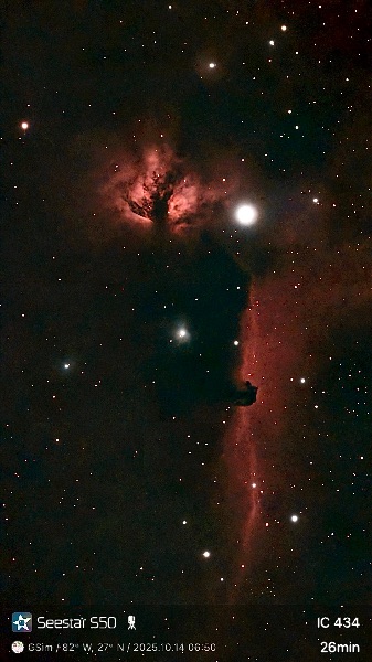 The iconic Horsehead nebula in a 26-minute exposure with my Seestar S50 from the backyard in Pinellas Park.