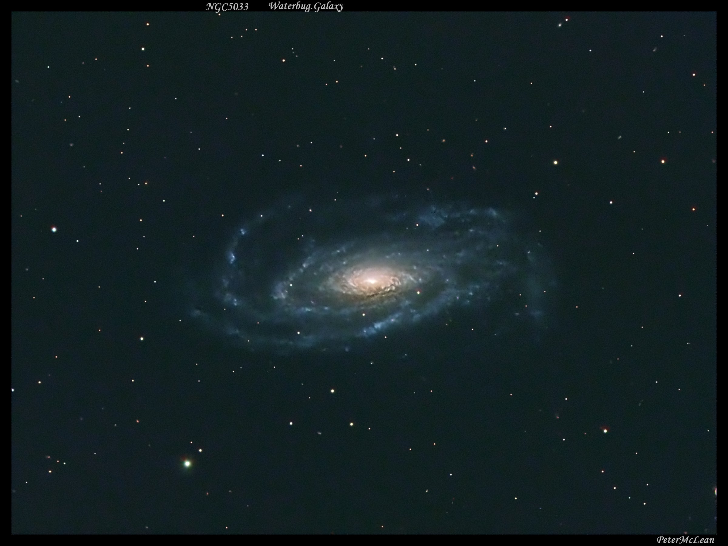 Within the Galaxy Canes Venatici resides the beautiful waterbug galaxy, NGC5033. LRGB subframes captured on 15May2026 from the Willow Oak observatory. | Equipment: Meade SN10, Celestron CGX-L, ASI533MM, LRGB filters